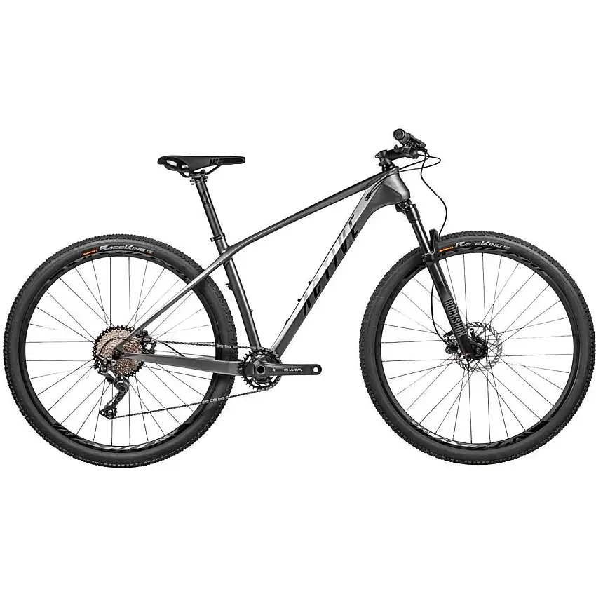 MTB ACTIVE 2022 Fly Carbon 210 29" metallic grey