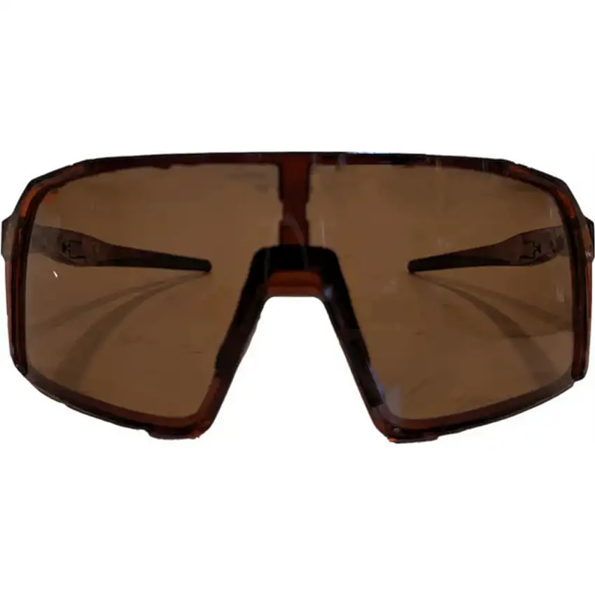 Cykelglasögon ALPE Eyewear Stelvio Polarized Brown