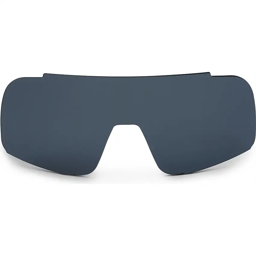 Lins ALPE Eyewear Stelvio Spare Lens Polarized