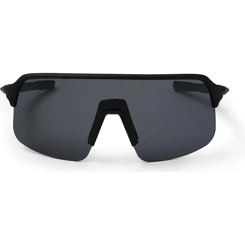 Cykelglasögon ALPE Eyewear Aspin Polarized