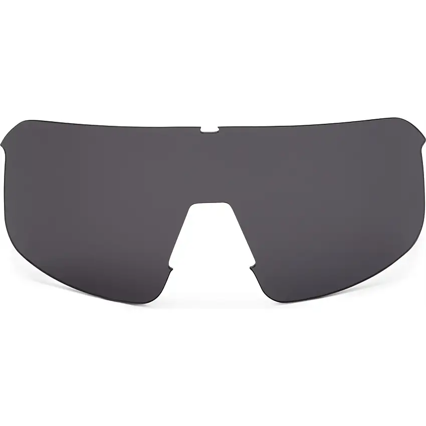 Lins ALPE Eyewear Aspin Spare Lens Polarized