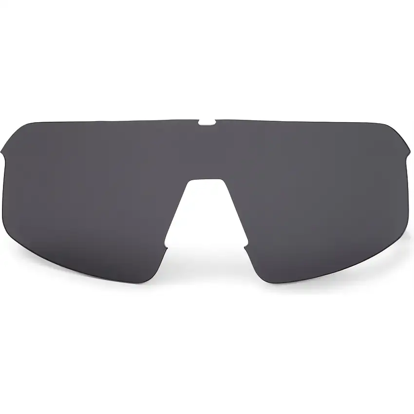 Lins ALPE Eyewear Aspin Lite Spare Lens Polarized
