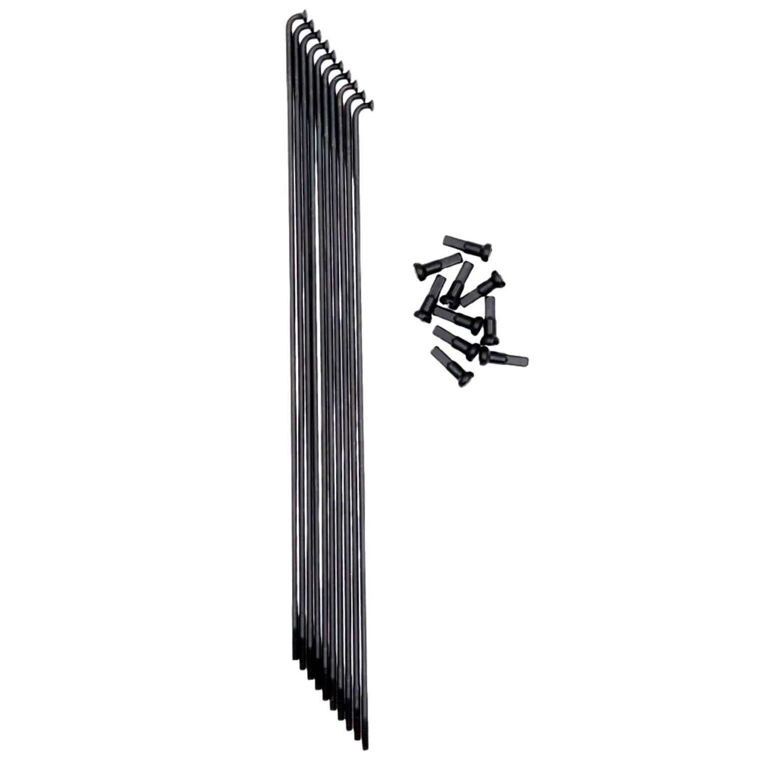 Rays Pride Racing Hexagon Double Butted (x10)