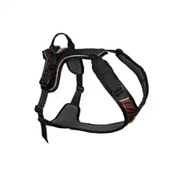 Hundsele Non-stop dogwear Rock Harness Orange XL